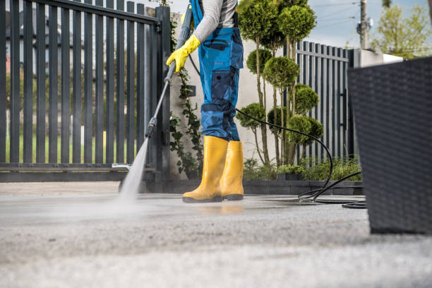 Best Driveway Pressure Washing  in Bonny Doon, CA